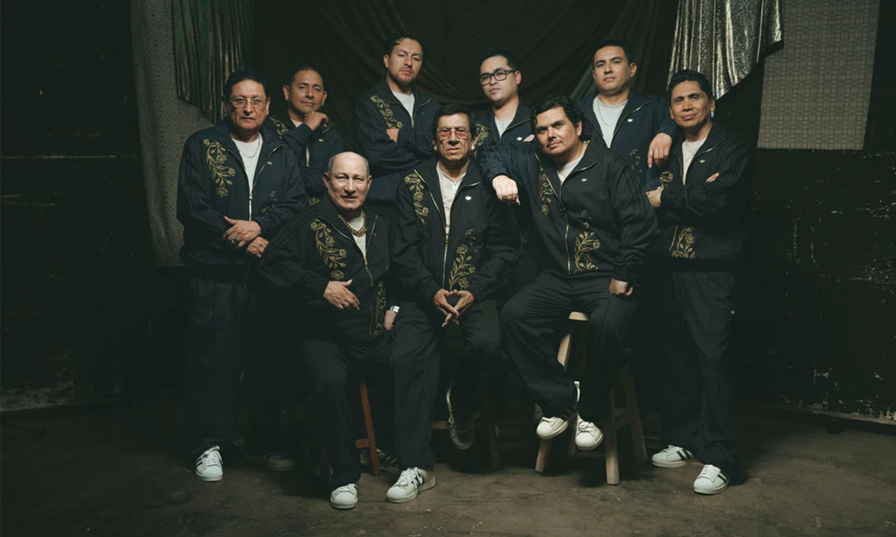Los Mirlos